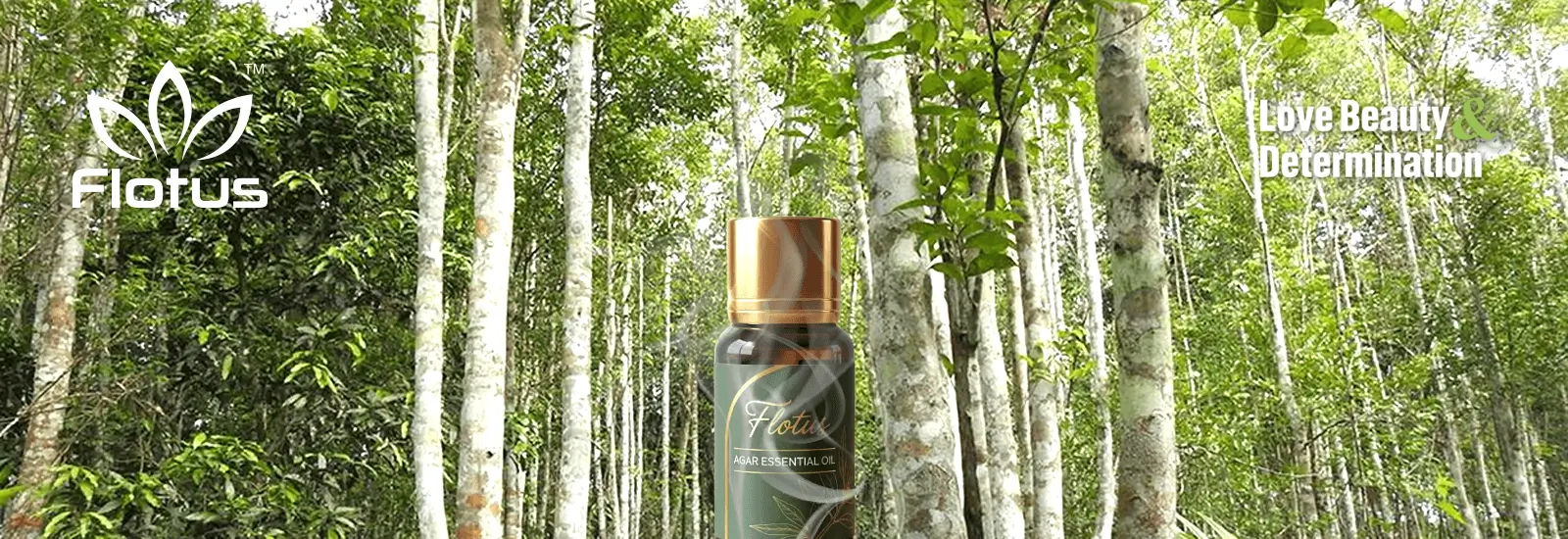 Flootu Essential Oils – Flotus Limited